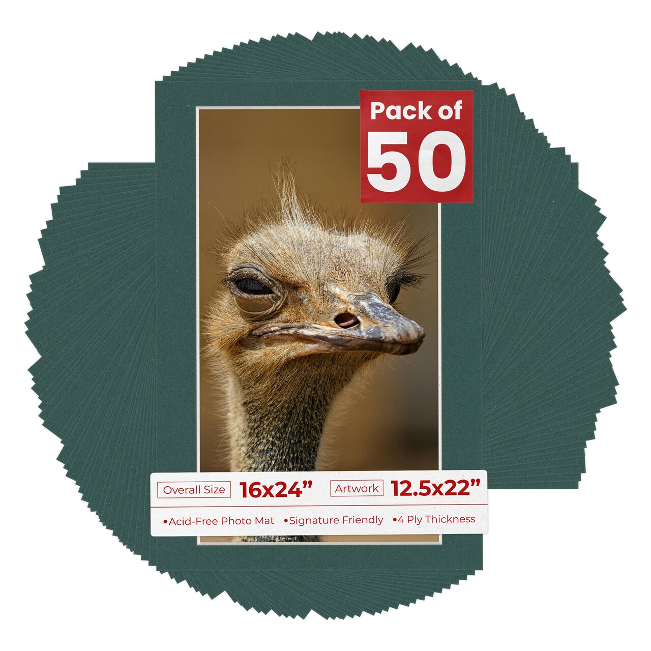 Forest Green Mat Board for 16x24 Frames - Fits 12.5x22 Photos